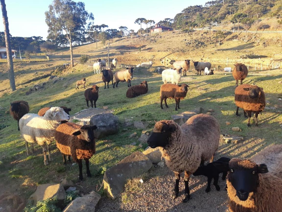 Pousada Rural Vale Da Neblina Urubici Eksteriør billede