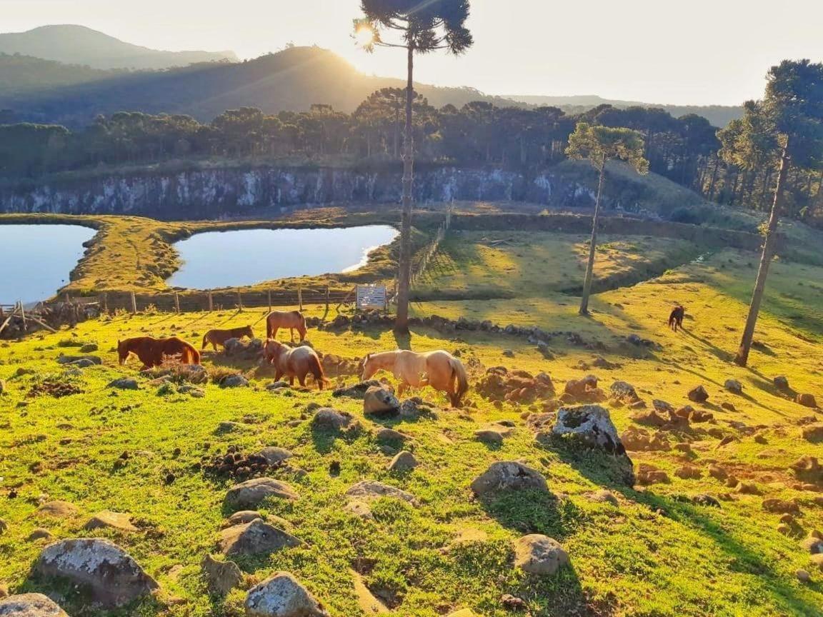 Pousada Rural Vale Da Neblina Urubici Eksteriør billede